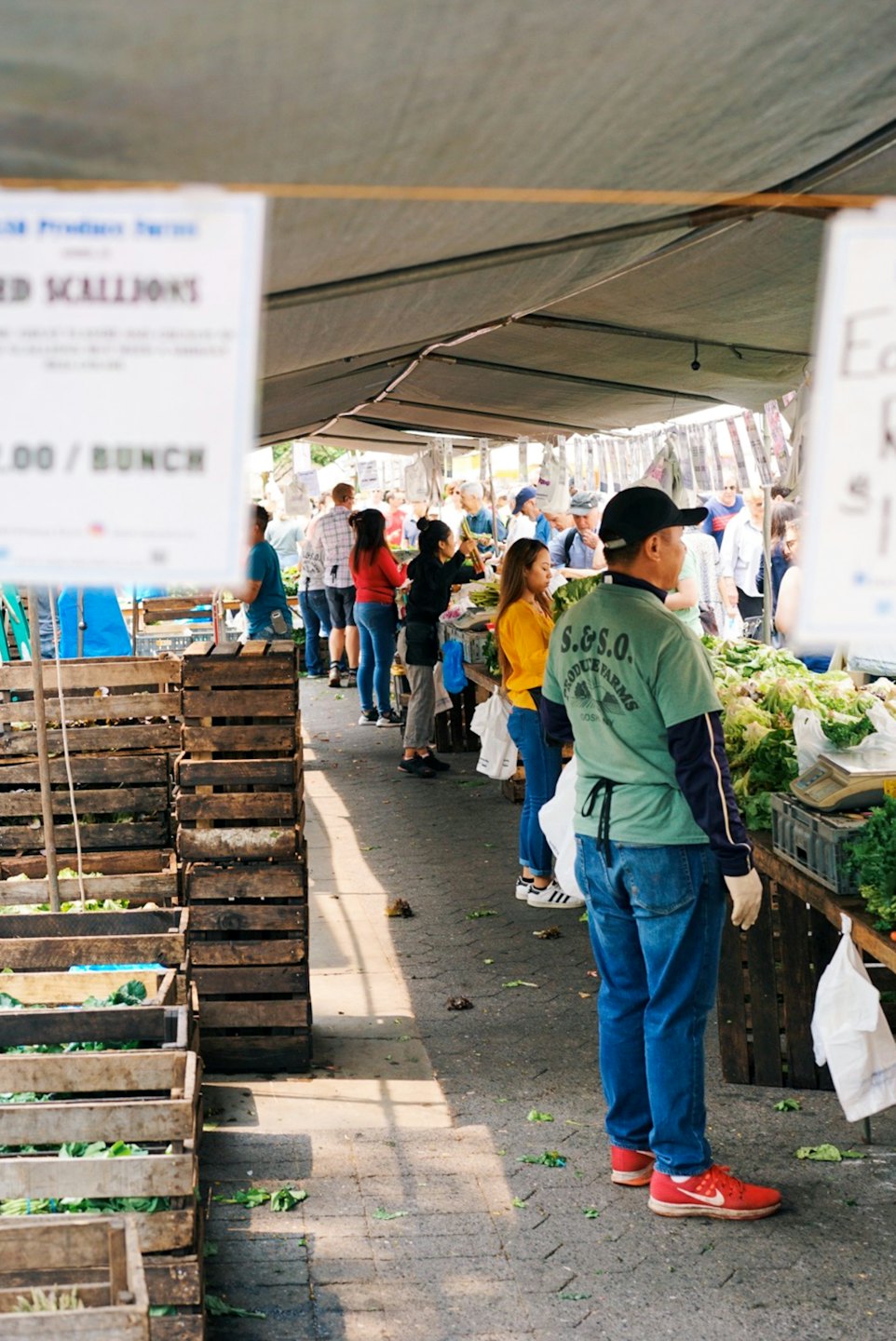 Shoppers browse fresh vegetables at an outdoor farmers market stall.
