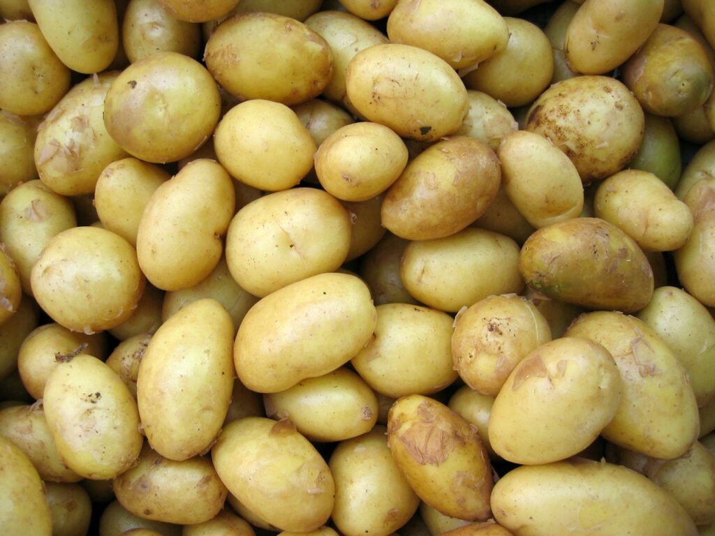 Organic Yellow Potatoes Bulk Pack
