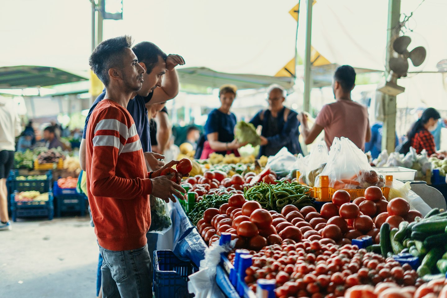 Man inspects a fresh tomato at an outdoor produce market.